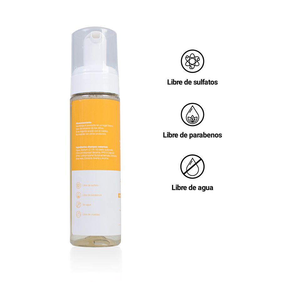Shampoo en Seco Aloe Vera & Avena 230ML