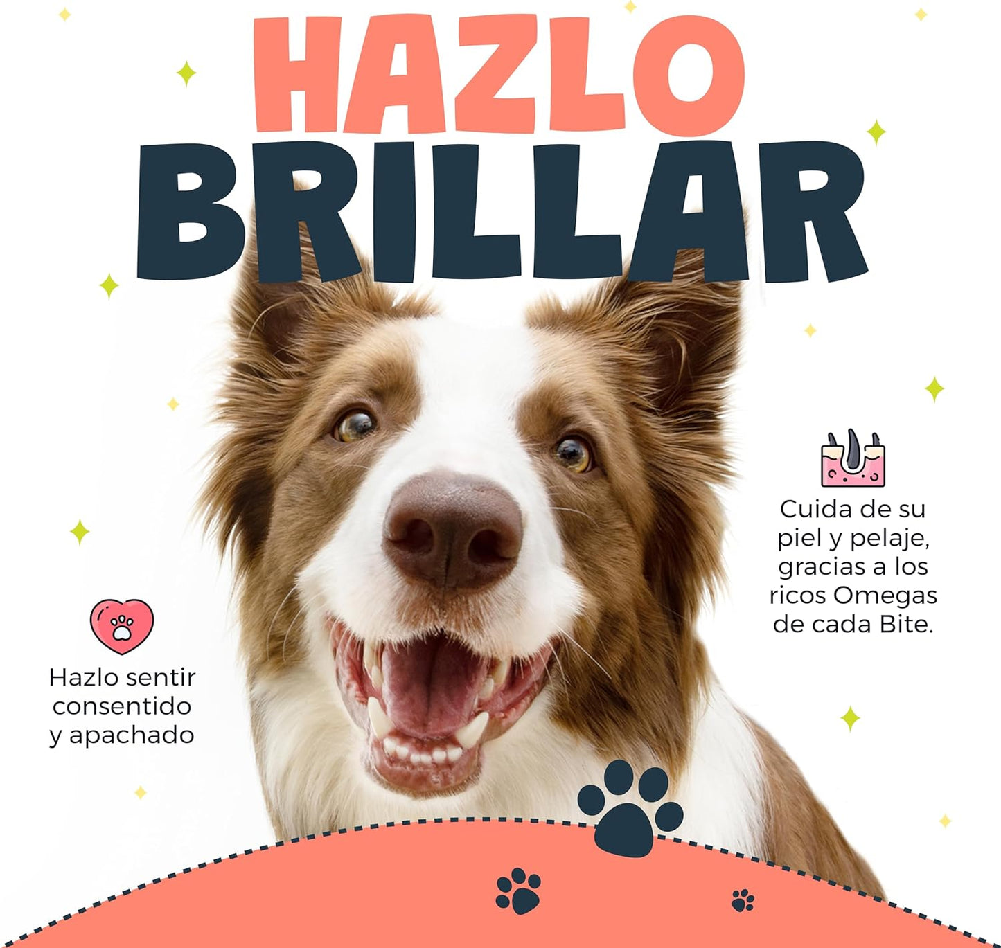 Premios bites salmón para perros y gatos 100 piezas