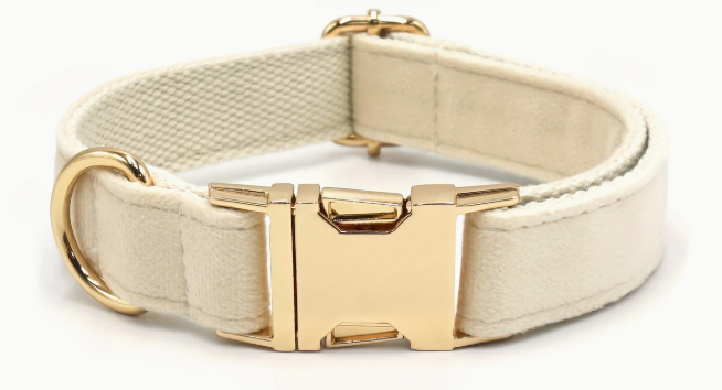 Collar Nylon Terciopelo