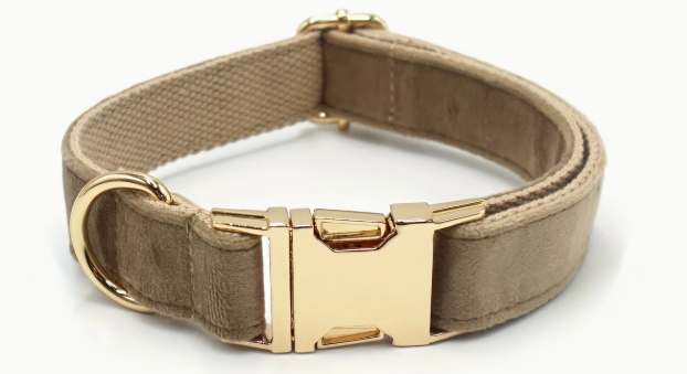 Collar Nylon Terciopelo