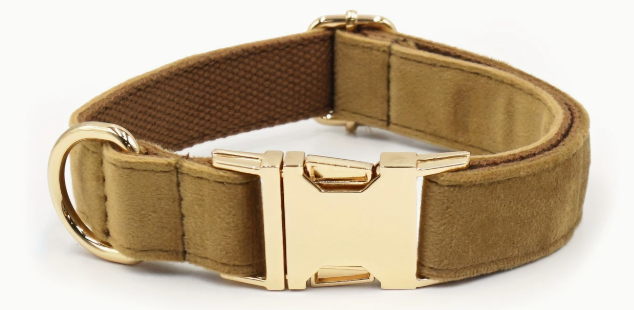 Collar Nylon Terciopelo