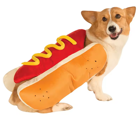 Disfraz Hot Dog