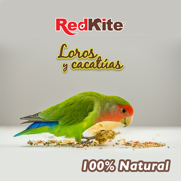 Mezcla de Semillas para Loros y Cacatúas
