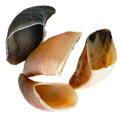 Premios Deshidratados (Por pieza)