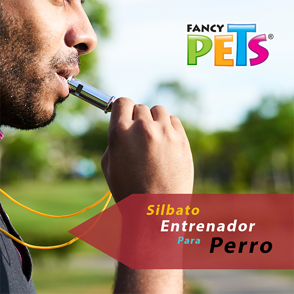 Silbato entrenador