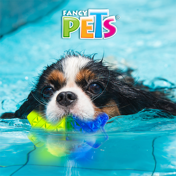 Juguete congelable cool para perro