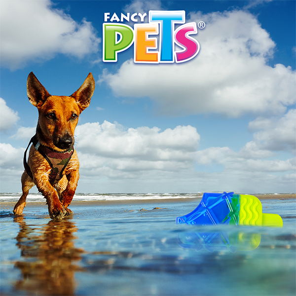 Juguete congelable cool para perro