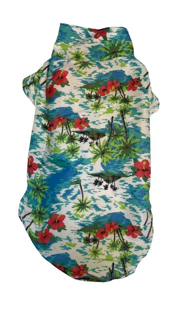 Camisa Chica & Camisa Hawaiana