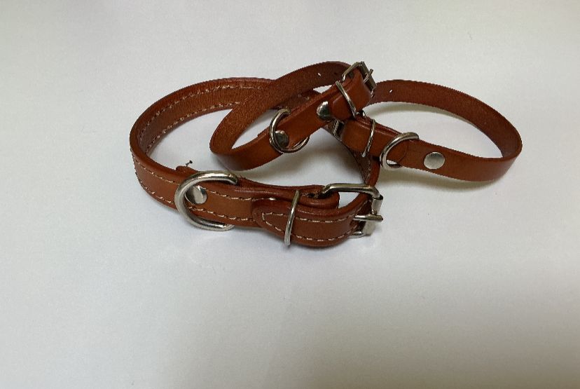 Collares de Cuero y Tejidos Haustier