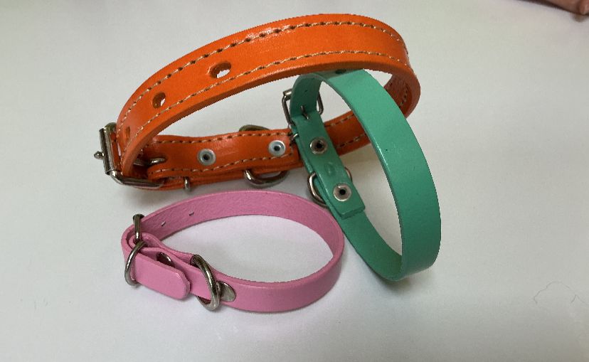 Collares de Cuero y Tejidos Haustier