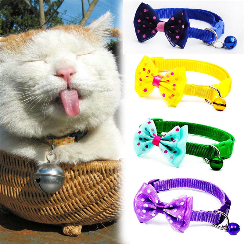 Collar con moño perro y gato chico