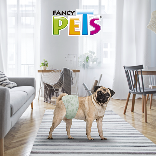 Pañales para perro para macho 12 Piezas