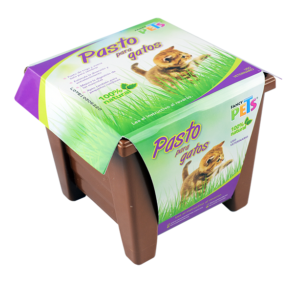 Pasto Para Gatos