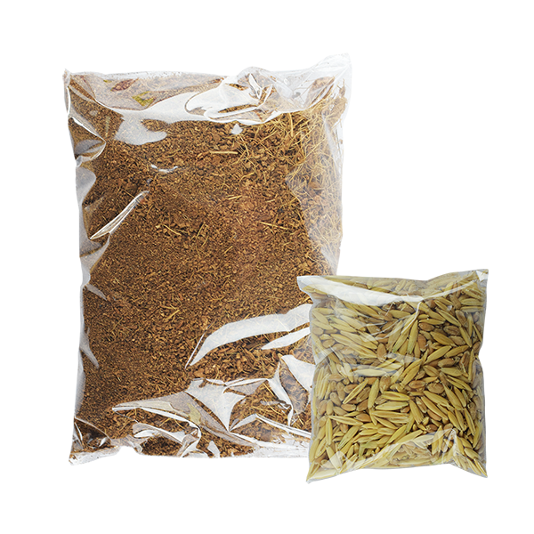 Pasto Para Gatos
