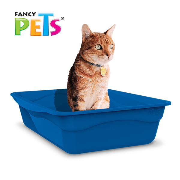 Arenero Mediano Fancy pets