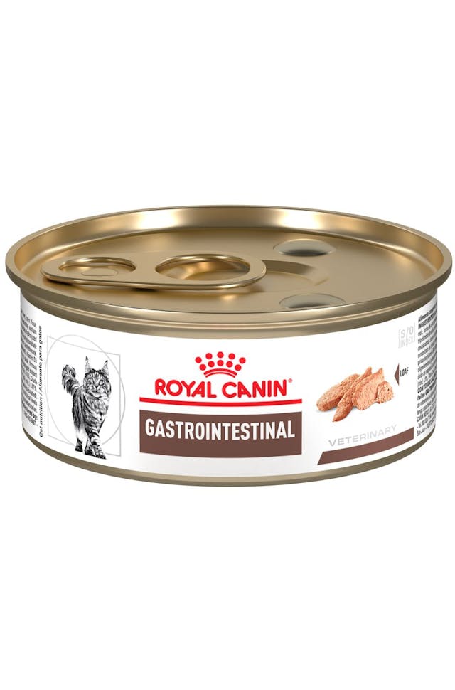 Royal Lata Gastro Feline