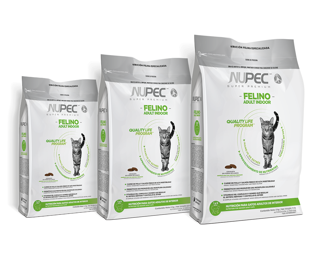 Nupec Felino Indoor Adulto