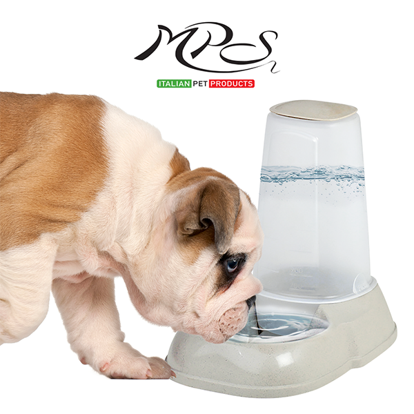Dispensador de agua