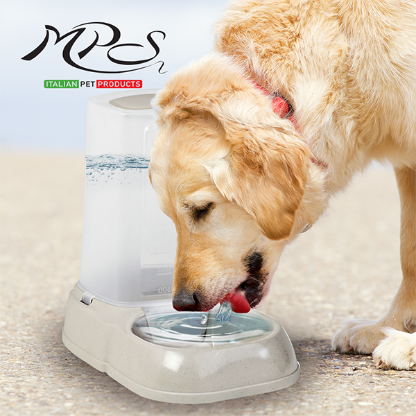 Dispensador de agua