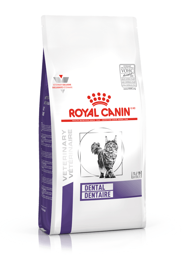 Royal feline dental 1.5KG