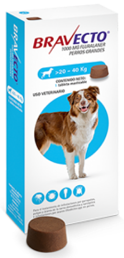 Bravecto (1 Tableta)