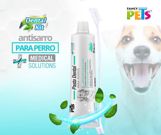 Kit dental