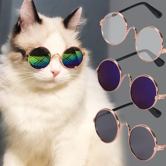Lentes redondos o rectangulares para perro y gato