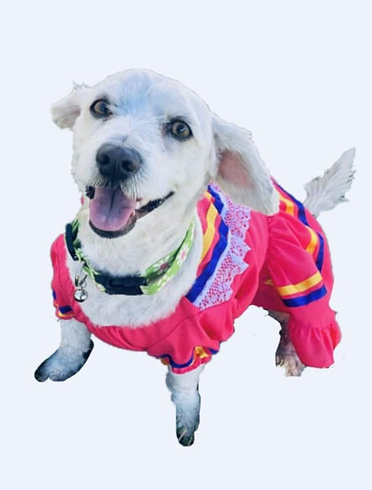 Vestido escaramuza chico