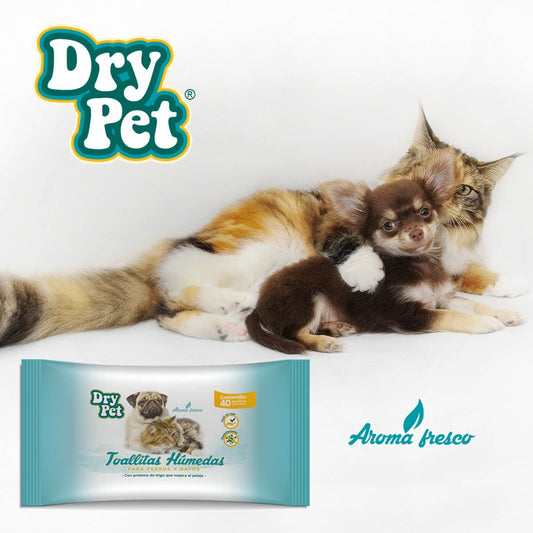 Toallitas húmedas para perros y gatos