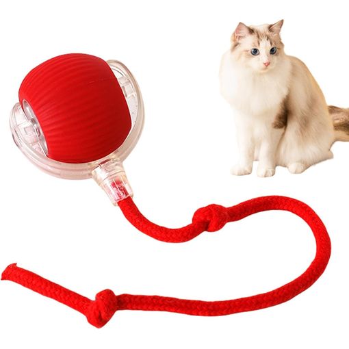 Juguete para gato electrico