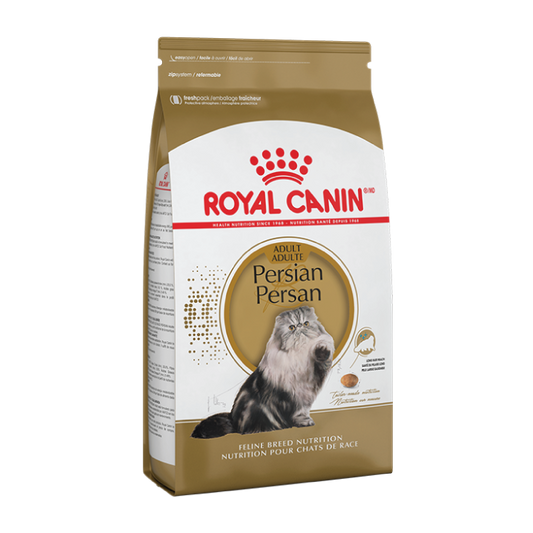 Royal Persian Adulto 3.1 kg