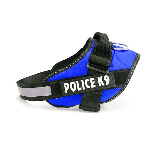 Pechera Police