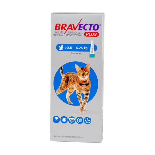 Bravecto Plus Cat (pipeta)