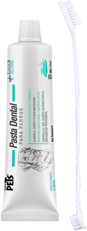 Kit dental