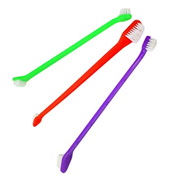 Cepillo de dientes para perro