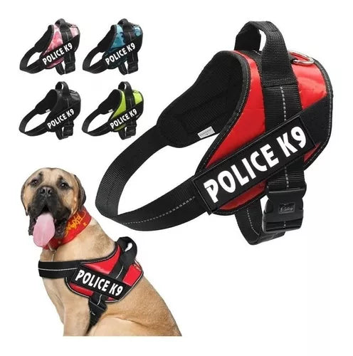 Pechera Police