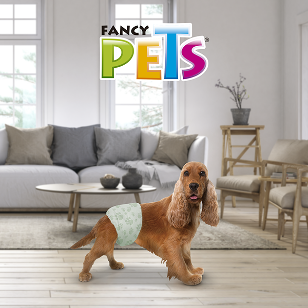 Pañales para perro para macho 12 Piezas