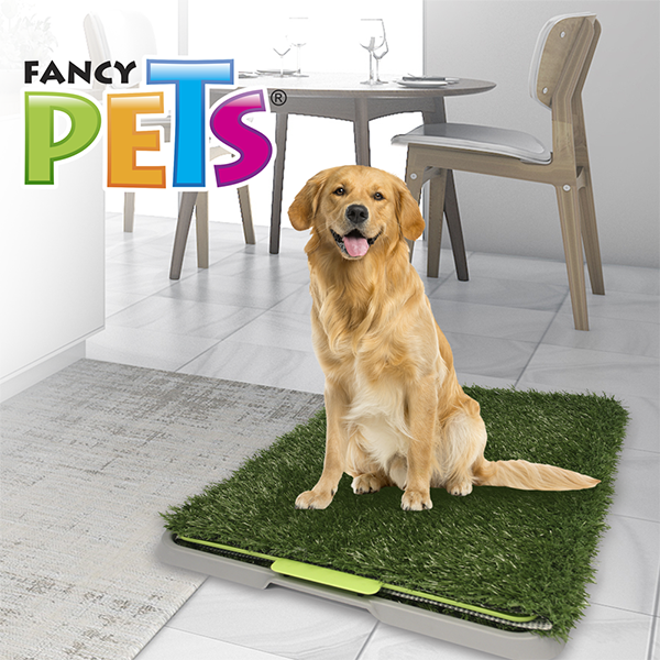 Doggie Grass grande
