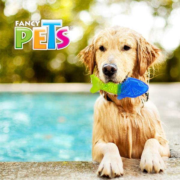 Juguete congelable cool para perro