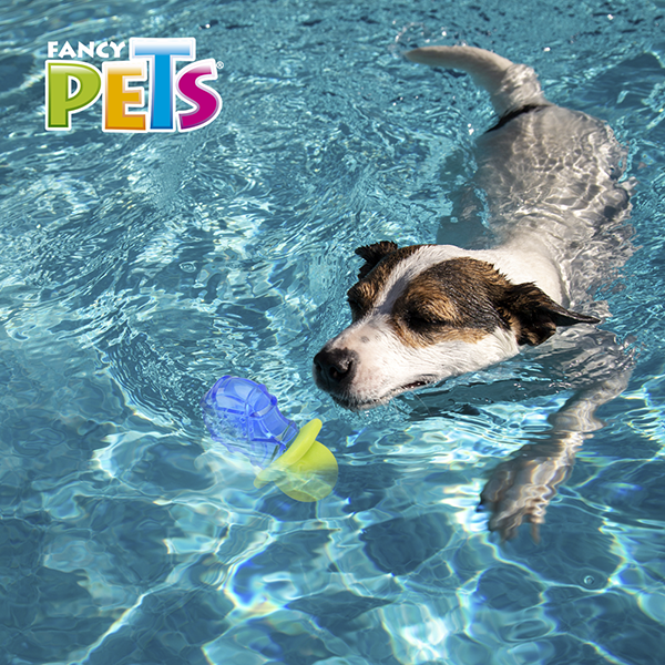 Juguete congelable cool para perro