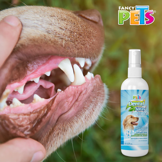 Spray Dental Ultra Fancy Pets