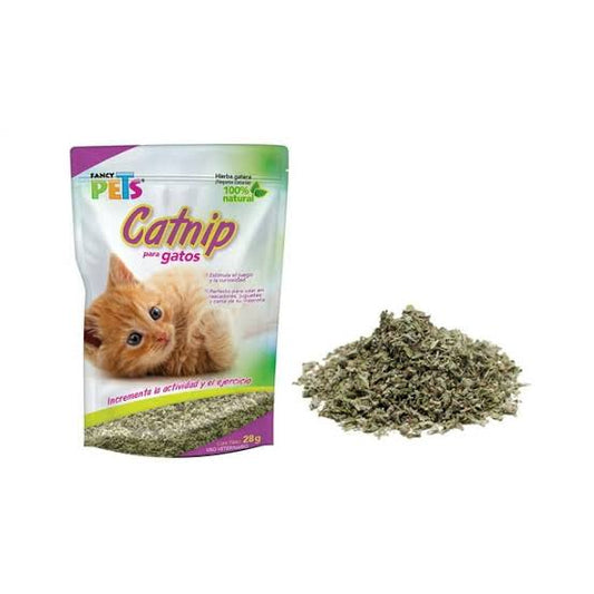 Catnip para gatos