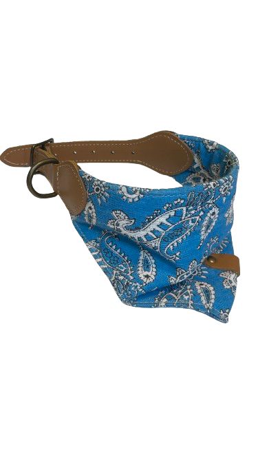 Collar Bandada para Perro