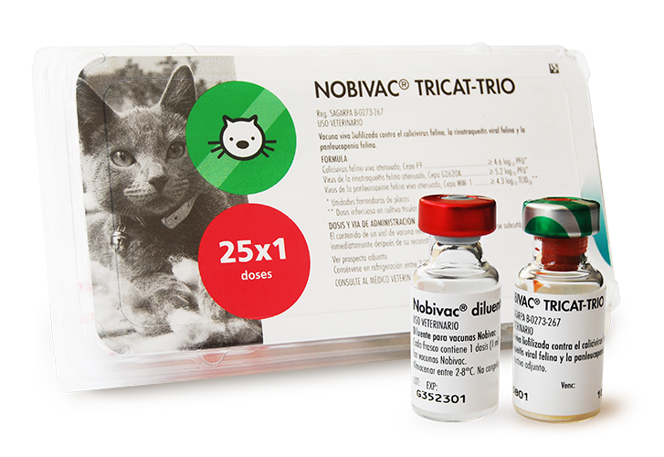 Vacuna TRICAT (Triple Felina)