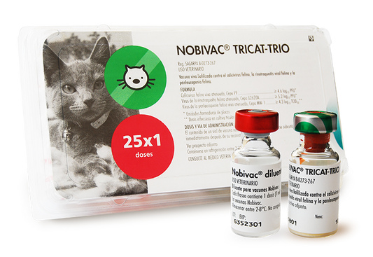 Vacuna TRICAT (Triple Felina)