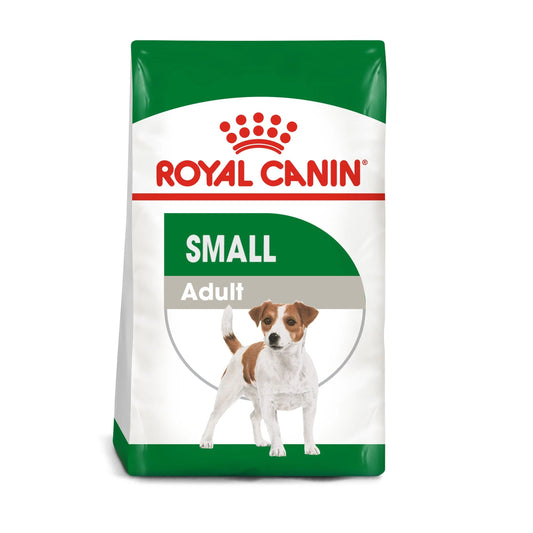 Royal Mini Adulto
