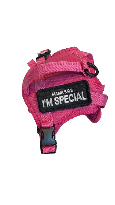 Pechera Tactica mini