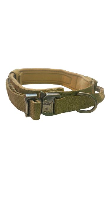 Collar de intervención