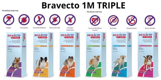 Bravecto 1m Triple (1 Tableta)