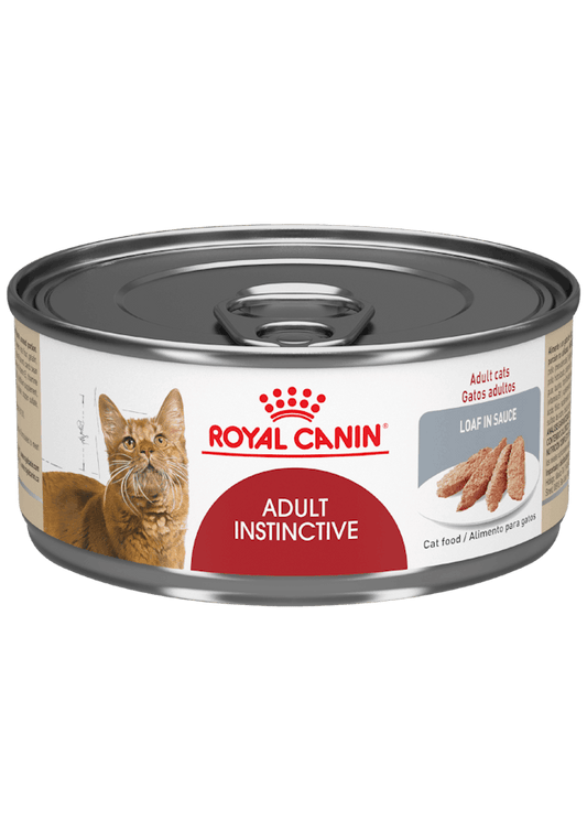 Royal Gato Adult Instictive